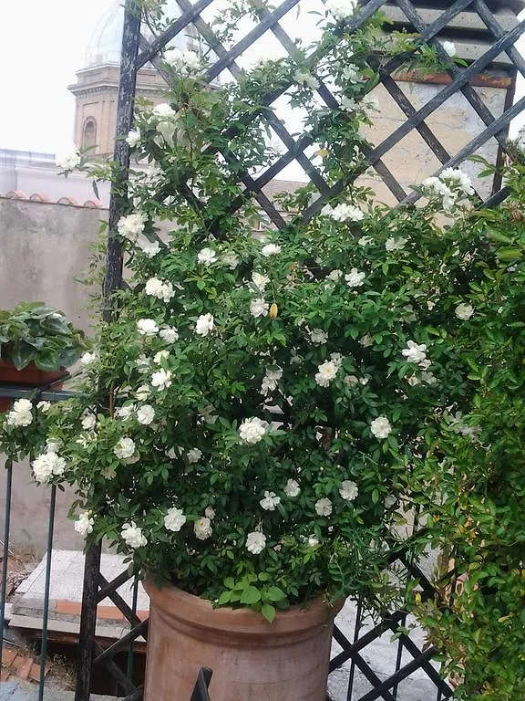 Casa Giulia Hotel Roma Appartamento